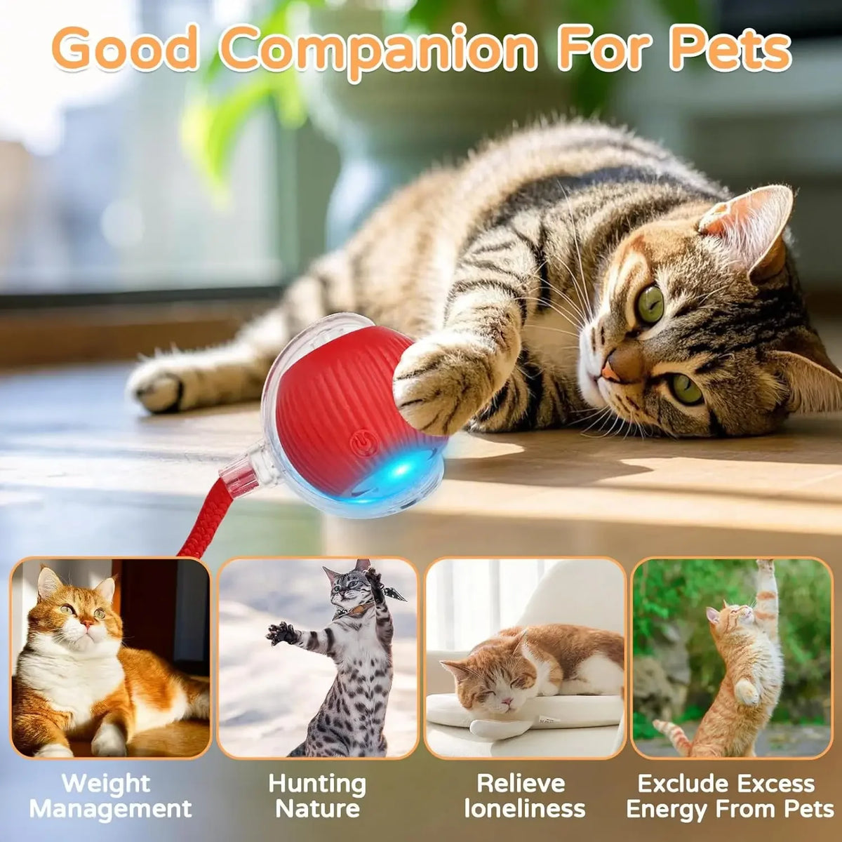 BRAVIX PlayChase – Automatic Rolling Cat Ball Toy, Interactive Electric Pet Toy with Faux Tail