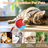 BRAVIX PlayChase – Automatic Rolling Cat Ball Toy, Interactive Electric Pet Toy with Faux Tail