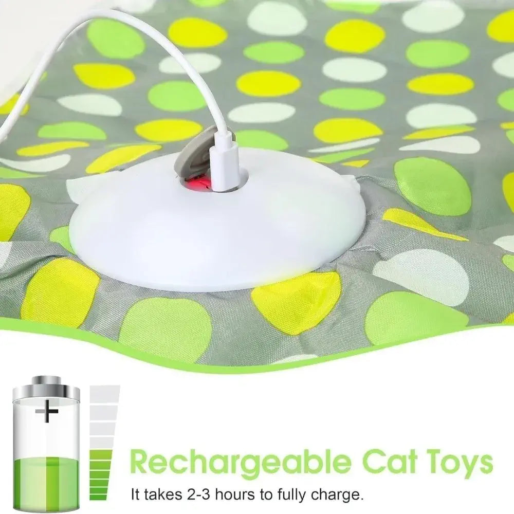 BRAVIX FeralPlay — Smart Hide & Seek Cat Toy